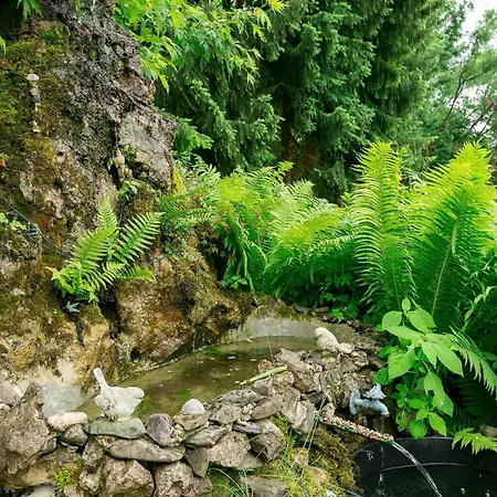 Apartment Kleines Mit Gepflegtem Garten Walkenried